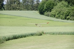DSC5490_DxO