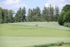 DSC5491_DxO