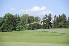 DSC5492_DxO