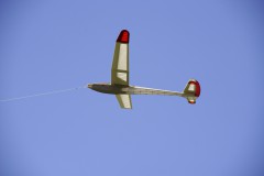 DSC5494_DxO
