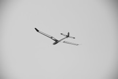 DSC5496_DxO