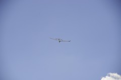 DSC5499_DxO