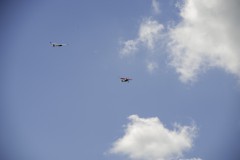 DSC5502_DxO