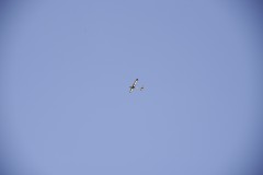 DSC5508_DxO