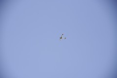 DSC5509_DxO